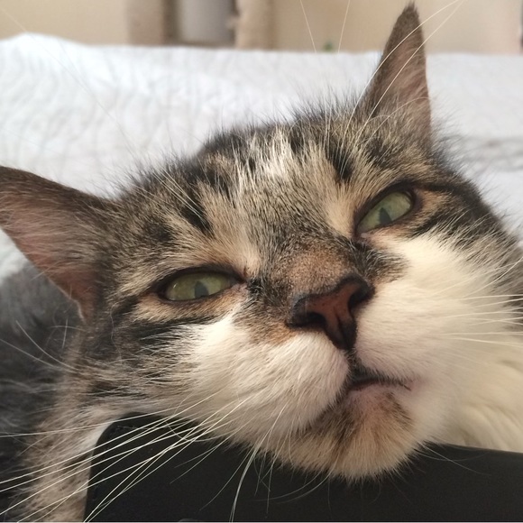 Meet your Posher, Katharine - Picture 1 of 1